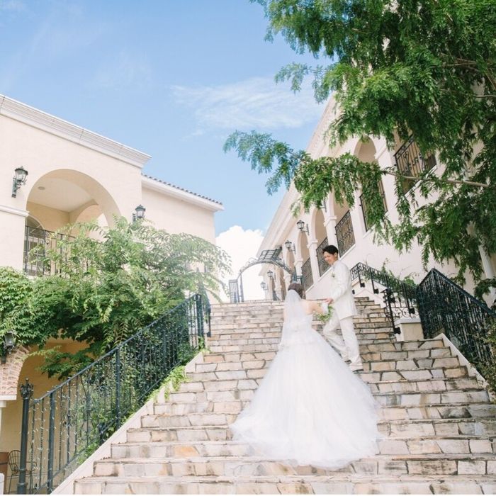 【人気NO.1】光のチャペル演出×憧れドレス試着×名物ブイヤベース&新体験パスタ試食