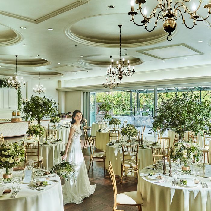 【140万特典＆ギフト券1万】4万相当*黒毛和牛試食×ALL演出体験