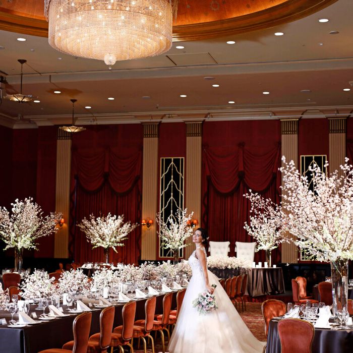 ◆8/10限定◆年2回のBIGフェア【ＳＵＭＭＥＲフェスタ】