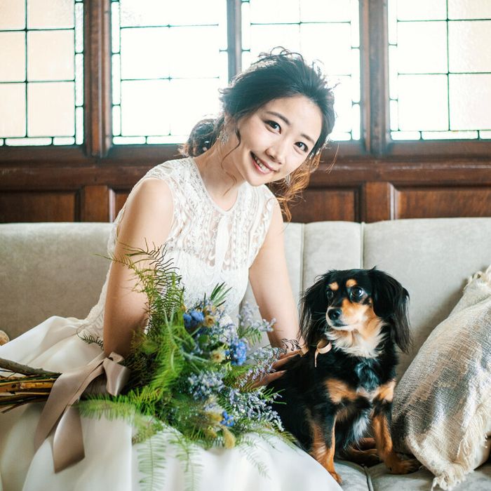 ［挙式も披露宴もペットOK］貸切邸宅で大切なペットと過ごす結婚式相談会＊無料試食付き