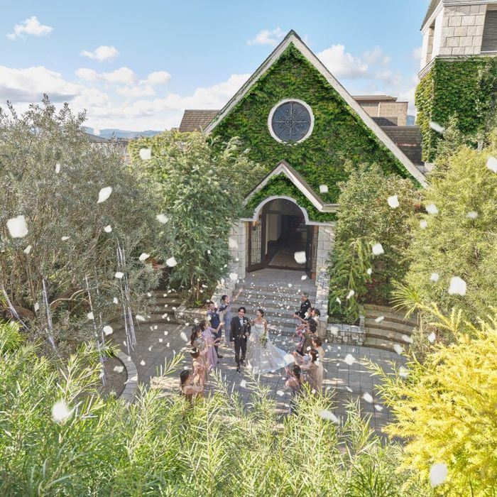 土曜BIG＼120万＆ドレス50%優待／和牛コース試食×教会口コミ1位