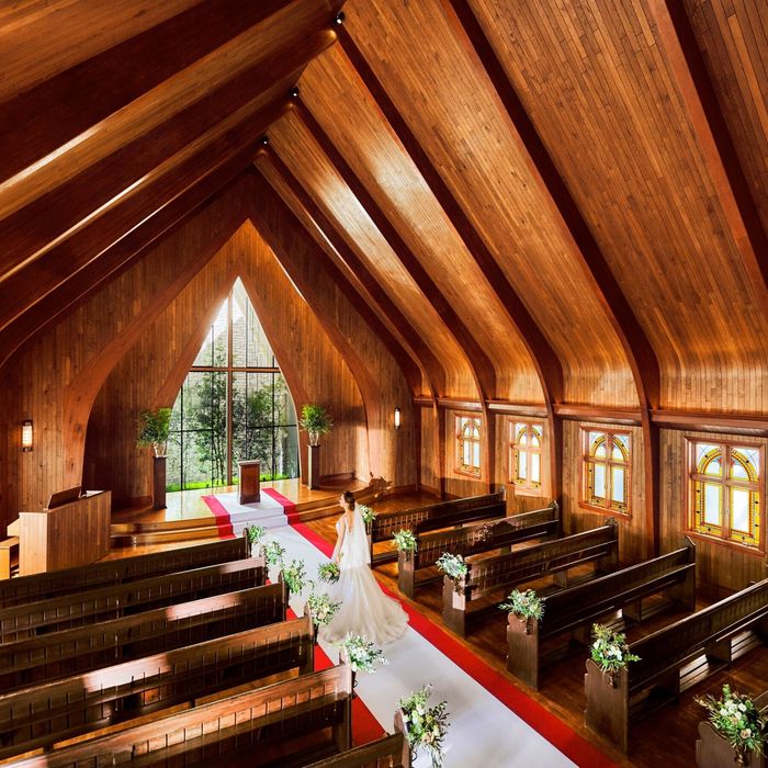 【GWフェア】限定120万優待＆ドレス特典◎森のチャペル×VIP試食