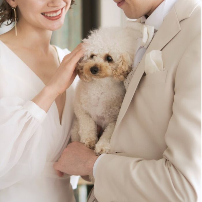 《ワンちゃんへお土産も》スイーツ試食付*ペット婚相談会