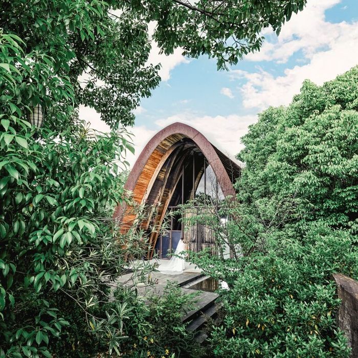 【奈良・大阪限定】最大120万優待×自然が紡ぐチャペル体験