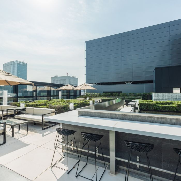 『ベージュ アラン・デュカス 東京』現地ご案内フェア