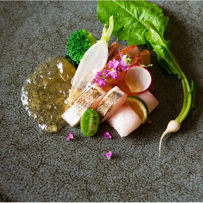 残1【大人気☆冬のSPフェア】豪華試食×冬の煌びやかな庭園散策