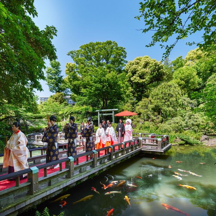 前日OK【東郷神社人気NO.1】15大特典◆庭参進×懐石コース試食