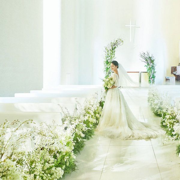 ＼衣裳総額50万円成約特典／黒毛和牛コース無料試食フェア