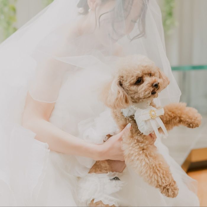 【愛犬も主役】美食×1軒屋貸切で叶える、ペットと彩るオリジナルウェディング相談会