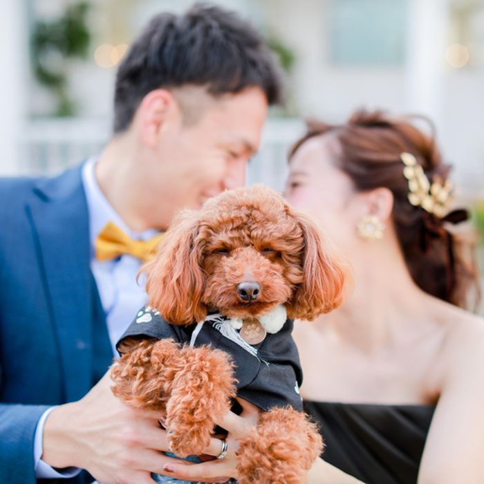 【ペット婚検討の方必見】大切なペットと作るオリジナルW相談会