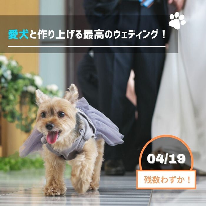 【大切なペットと一緒のW】人気演出×牛フィレオマール試食