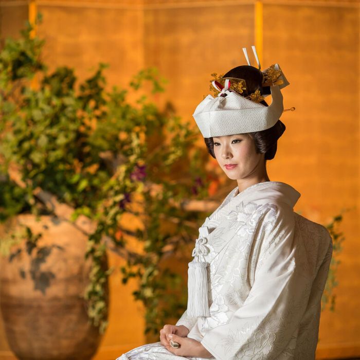 初めてでも安心 和装試着体験 × 日本庭園散策 × 会場見学