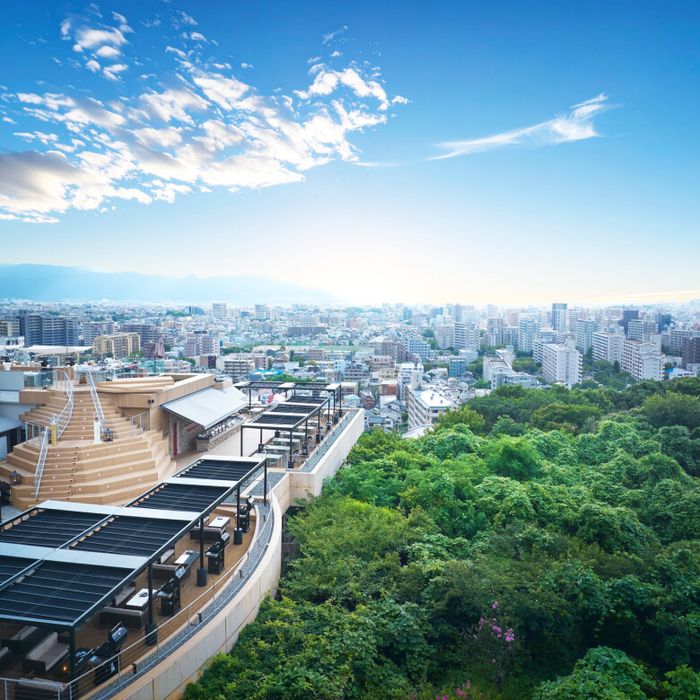 《迷わず金曜★》都心の森チャペル×絶景テラス★15品試食&宿泊