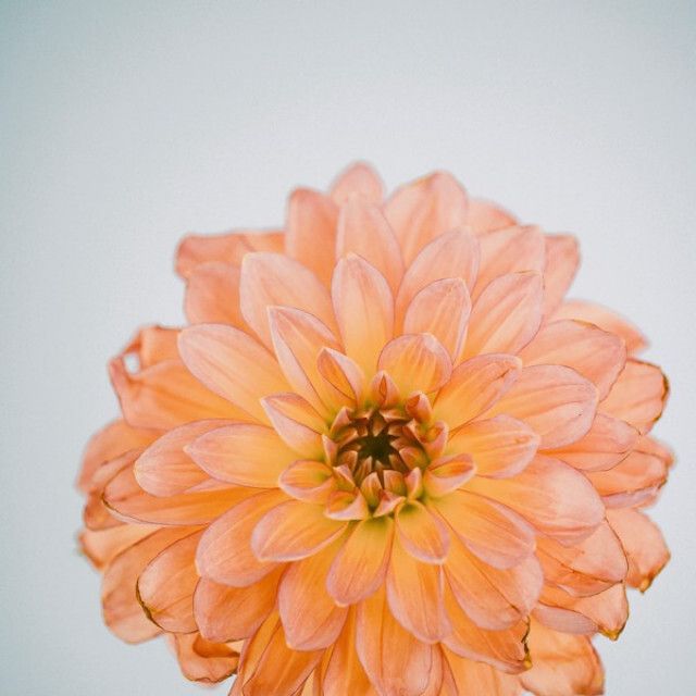 平日【ご自宅からもuneを体験】オンライン相談フェア