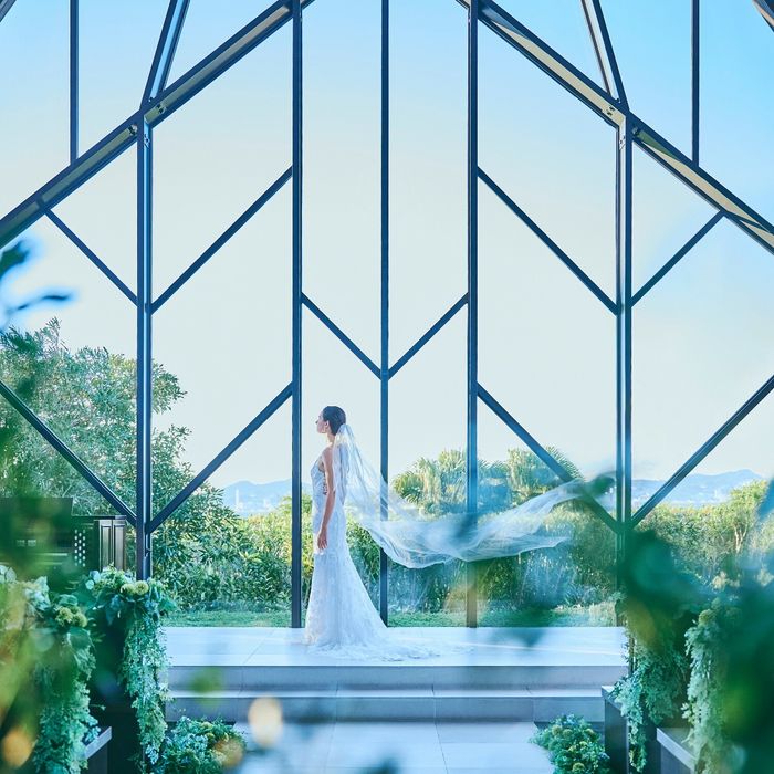 初めてにオススメ★海と森の選べるチャペル&貸切体験×特別試食