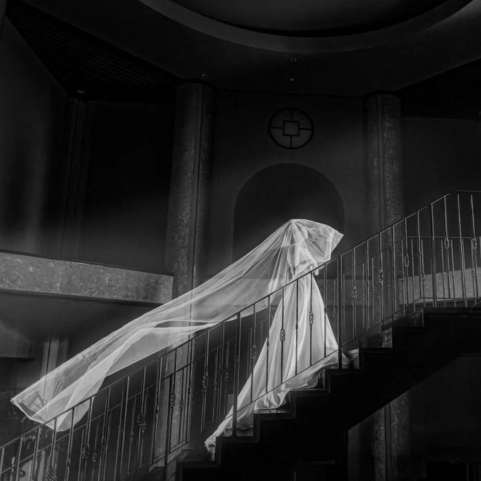 【写真のみ検討の方】国際フォトコンテスト受賞記念キャンペーン