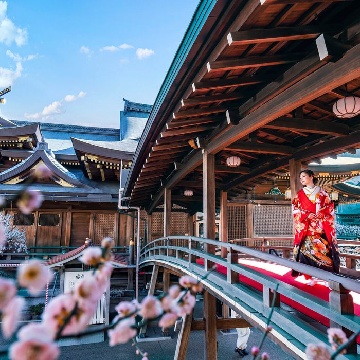 憧れ和装で挙式！【組数限定】神社紹介×無料試食×なんでも相談