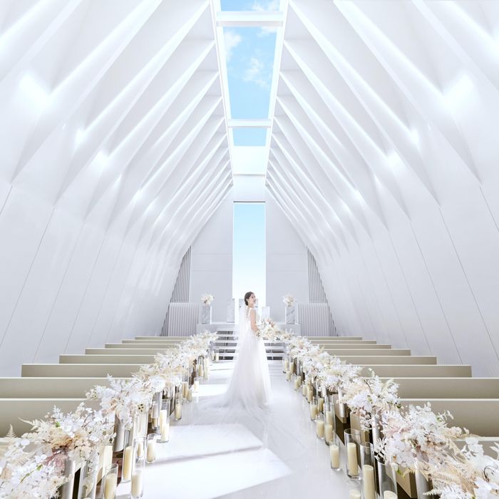 ＼よくばり*最大210万優待／花嫁ALL体験×ドレス体験×試食