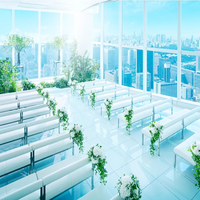 1.6万円ディナー券◆雲丹のフラン＆特選牛2万試食×120万特典