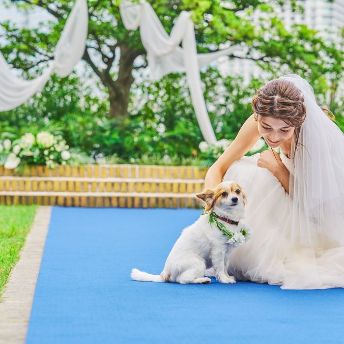 【愛犬と一緒にウエディング】ペット婚×おいしいと評判◎の試食