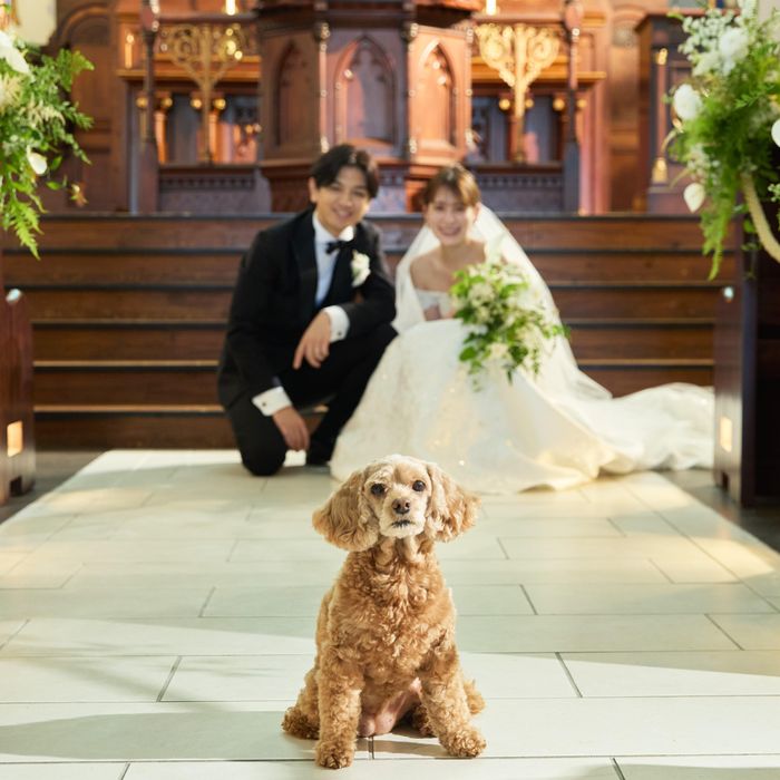 【愛犬と一緒にウエディング】ペット婚×おいしいと評判◎の試食