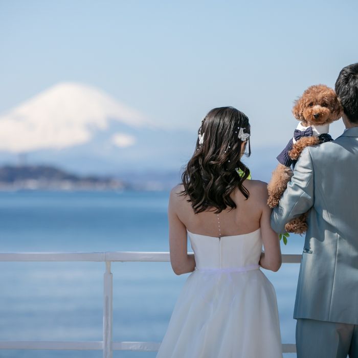 【ペット婚】愛犬と叶える海辺のリゾートウェディング相談会