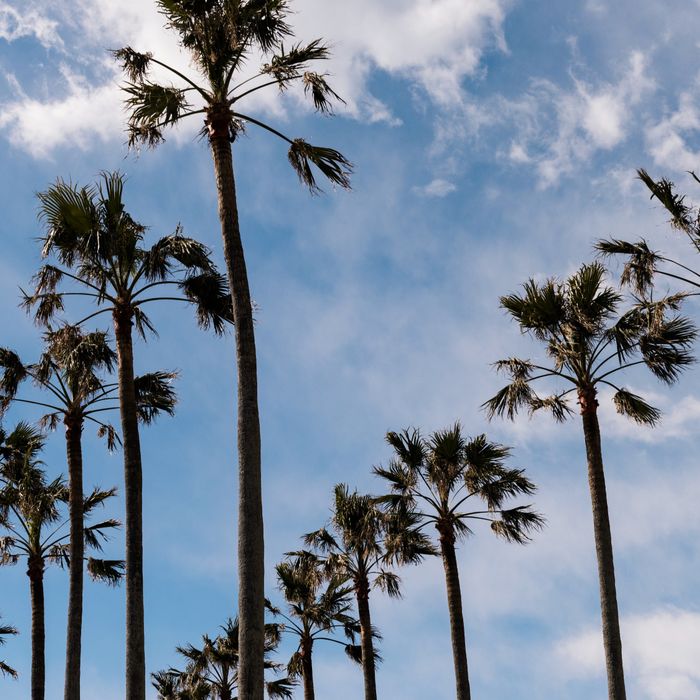 当日予約OK【90分完結】タイパ重視のカップル向け会場相談フェア