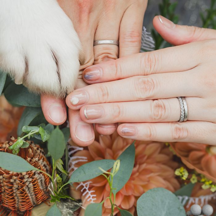 《大切な愛犬・ペットと叶える結婚式》こだわり演出相談&特典付