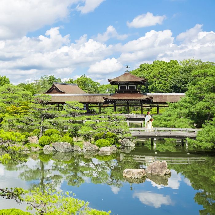 【日程限定】先着4組・和装試着体験付×1万坪庭園見学会