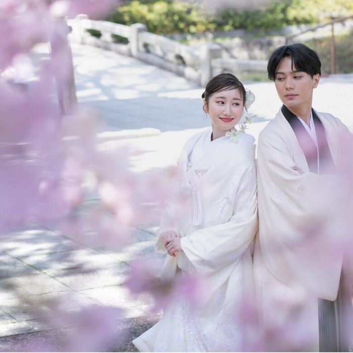 【新春和婚フェス】当館大人気の和装試着＆国宝本殿見学×見積相談