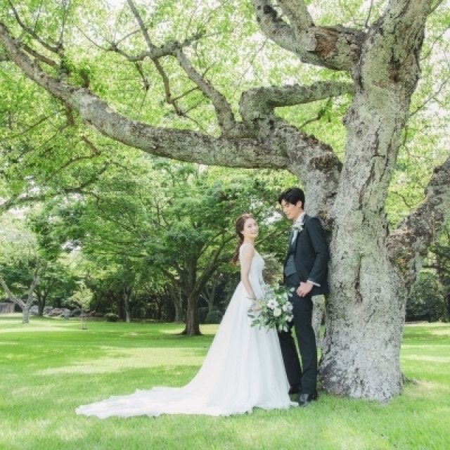 【5月～8月ご検討の方へ！】緑豊かな日本平でフォトウェディング