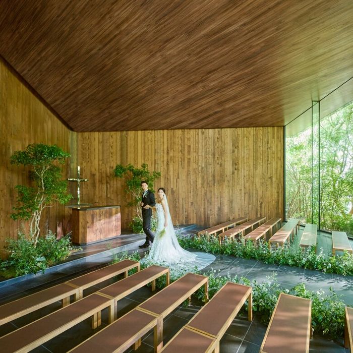 【水曜特別開催】木漏れ日溢れる森のチャペル見学&豪華試食