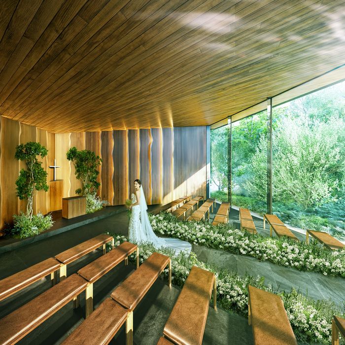 2人だけのトータルコーディネート相談会＆豪華試食