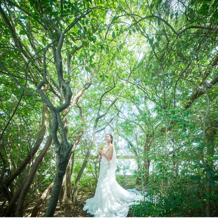 【徹底比較＊2件目以降の方へ】見積相談×全館見学×国産牛試食