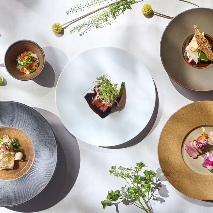 平日人気No1★*見学者好評の黒毛和牛試食×ドレス優待*桜島テラス&最新プロジェクションマッピング体験♪