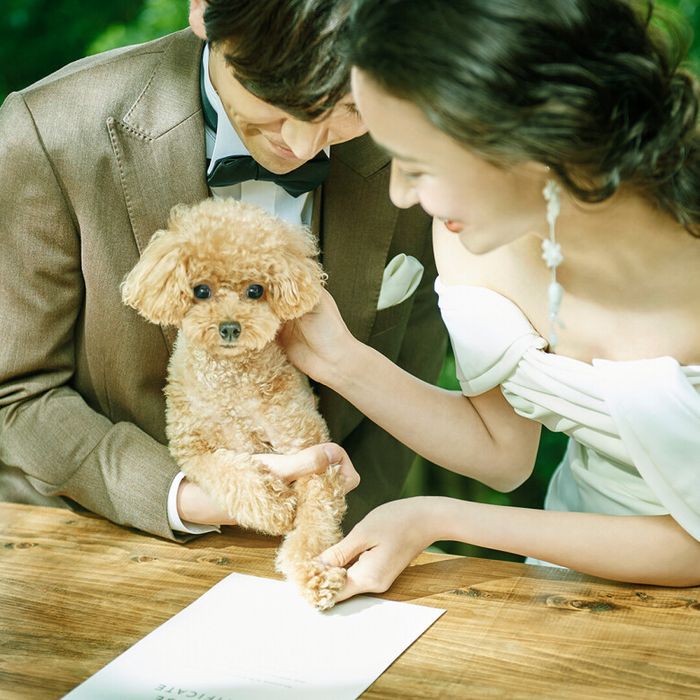 ペット婚5大優待◆平日限定ペットと個室で安心◆リングドック体験&ワンちゃん料理付♪黒毛牛コース