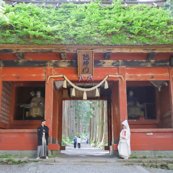 【善光寺/戸隠神社/武井神社挙式もお任せ】現代和婚相談&試食会