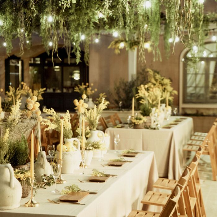 <★限定開催★>光と緑のナイトウエディング体験会