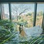 tomu1225さんのアイコン画像