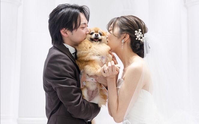 カバー写真
