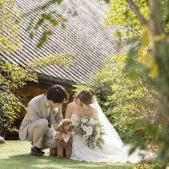 【愛犬と叶える結婚式】ペット婚まるわかり相談会&ALL体験