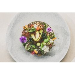 【grace】物語の一皿を体験〈美食が彩る1日を〉
