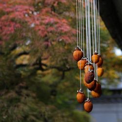 【秋限定コース】絶品!信州牛&秋の味覚*会席コース試食フェア