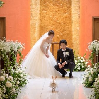 優待あり【愛猫&愛犬と叶える1日♪】ペット婚相談会&美食試食