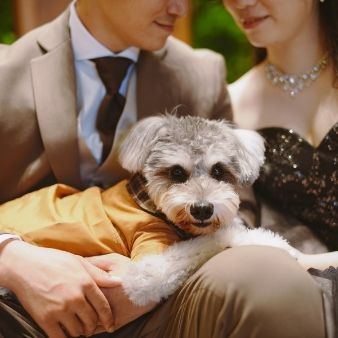 【ペット婚相談会♪】全館貸し切り贅沢見学会!豪華試食付き