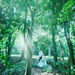 軽井沢の自然を動画で体感!リアルWDフェア≪オンライン開催≫