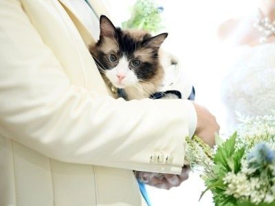 【ペットウェディングをご希望の方へ】大切な家族の一員と一緒に楽しむ結婚式