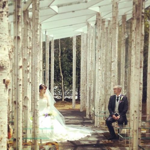 newartweddingさんの軽井沢ニューアートウエディング 風通る白樺と苔の森写真5枚目