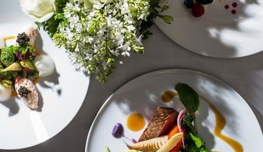 【お見積り例】2026年ウエディングプラン 50名