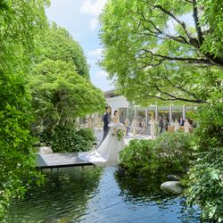 【新チャペルOPEN記念】森と光のガーデン&絶品フレンチ試食